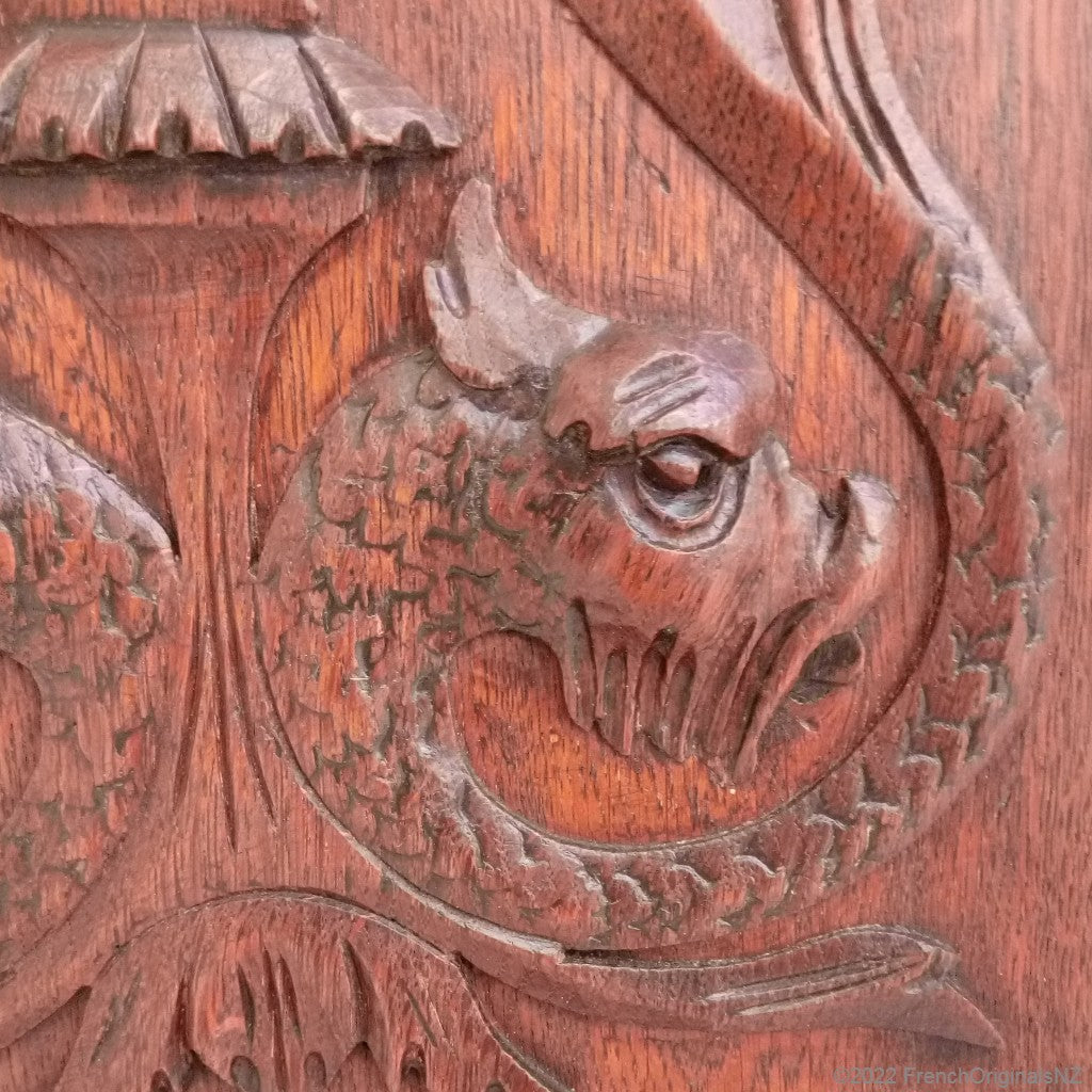 Why all the Dolphins?