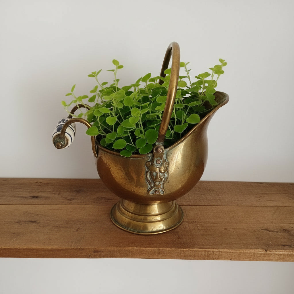 Brass coal scuttle with a pot plant in it on a wooden bench at French Originals antiques